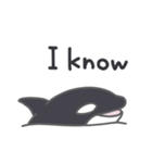 Cute Orca English 2（個別スタンプ：7）