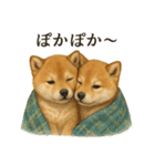 【癒し】リアルな柴犬のまったりカフェ一言（個別スタンプ：3）