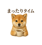 【癒し】リアルな柴犬のまったりカフェ一言（個別スタンプ：4）