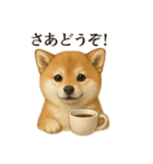 【癒し】リアルな柴犬のまったりカフェ一言（個別スタンプ：5）
