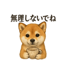 【癒し】リアルな柴犬のまったりカフェ一言（個別スタンプ：7）