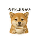 【癒し】リアルな柴犬のまったりカフェ一言（個別スタンプ：8）