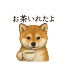 【癒し】リアルな柴犬のまったりカフェ一言（個別スタンプ：9）