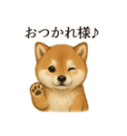 【癒し】リアルな柴犬のまったりカフェ一言（個別スタンプ：13）