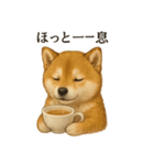 【癒し】リアルな柴犬のまったりカフェ一言（個別スタンプ：14）