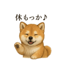 【癒し】リアルな柴犬のまったりカフェ一言（個別スタンプ：15）