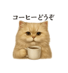 【癒し】ペルシャ猫のまったりカフェ一言（個別スタンプ：1）