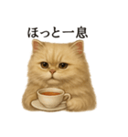 【癒し】ペルシャ猫のまったりカフェ一言（個別スタンプ：3）