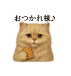 【癒し】ペルシャ猫のまったりカフェ一言（個別スタンプ：4）