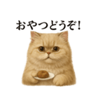 【癒し】ペルシャ猫のまったりカフェ一言（個別スタンプ：8）