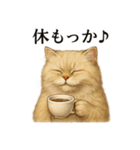 【癒し】ペルシャ猫のまったりカフェ一言（個別スタンプ：9）