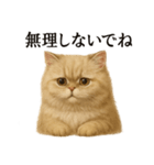 【癒し】ペルシャ猫のまったりカフェ一言（個別スタンプ：11）
