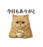 【癒し】ペルシャ猫のまったりカフェ一言（個別スタンプ：12）