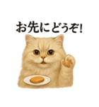 【癒し】ペルシャ猫のまったりカフェ一言（個別スタンプ：14）