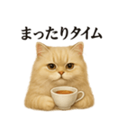 【癒し】ペルシャ猫のまったりカフェ一言（個別スタンプ：15）
