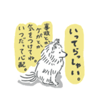 可愛いサモエドスタンプ（個別スタンプ：7）