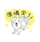 可愛いサモエドスタンプ（個別スタンプ：8）