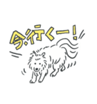 可愛いサモエドスタンプ（個別スタンプ：12）