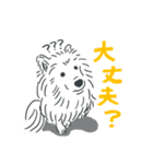 可愛いサモエドスタンプ（個別スタンプ：20）