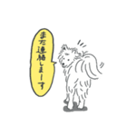 可愛いサモエドスタンプ（個別スタンプ：33）