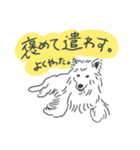 可愛いサモエドスタンプ（個別スタンプ：38）
