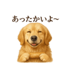 【癒し】ゴールデンレトリバーのカフェ（個別スタンプ：2）