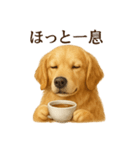 【癒し】ゴールデンレトリバーのカフェ（個別スタンプ：3）