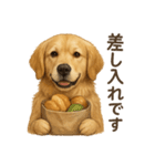 【癒し】ゴールデンレトリバーのカフェ（個別スタンプ：13）