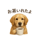 【癒し】ゴールデンレトリバーのカフェ（個別スタンプ：14）