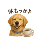 【癒し】ゴールデンレトリバーのカフェ（個別スタンプ：15）