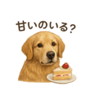 【癒し】ゴールデンレトリバーのカフェ（個別スタンプ：16）