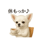 【癒し】白いチワワのまったりカフェ一言（個別スタンプ：7）