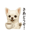 【癒し】白いチワワのまったりカフェ一言（個別スタンプ：9）