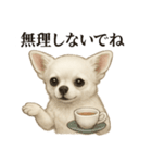 【癒し】白いチワワのまったりカフェ一言（個別スタンプ：11）