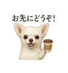 【癒し】白いチワワのまったりカフェ一言（個別スタンプ：13）