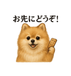 【癒し】ポメラニアンのまったりカフェ（個別スタンプ：2）