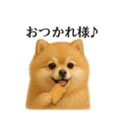 【癒し】ポメラニアンのまったりカフェ（個別スタンプ：5）