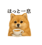【癒し】ポメラニアンのまったりカフェ（個別スタンプ：8）