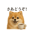 【癒し】ポメラニアンのまったりカフェ（個別スタンプ：9）