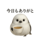 【癒し】かわいいシマエナガまったりカフェ（個別スタンプ：7）