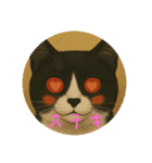きっと、キャット（個別スタンプ：8）