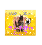 もいぴのピピピ（個別スタンプ：1）
