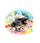 もいぴのピピピ（個別スタンプ：2）