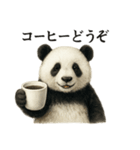【癒し】リアルすぎるパンダまったりカフェ（個別スタンプ：13）