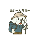 色々登山犬スタンプ（個別スタンプ：9）
