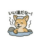 色々登山犬スタンプ（個別スタンプ：16）