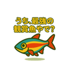 アカヒレのあいちゃん2025夏（個別スタンプ：1）