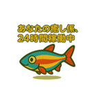 アカヒレのあいちゃん2025夏（個別スタンプ：4）