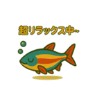 アカヒレのあいちゃん2025夏（個別スタンプ：6）