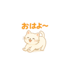 やさしいねこの毎日スタンプ（個別スタンプ：1）
